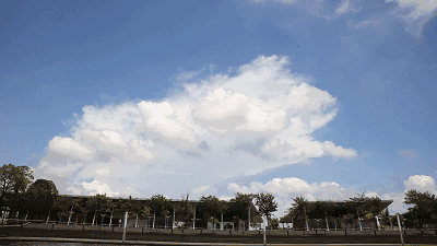 image001.gif