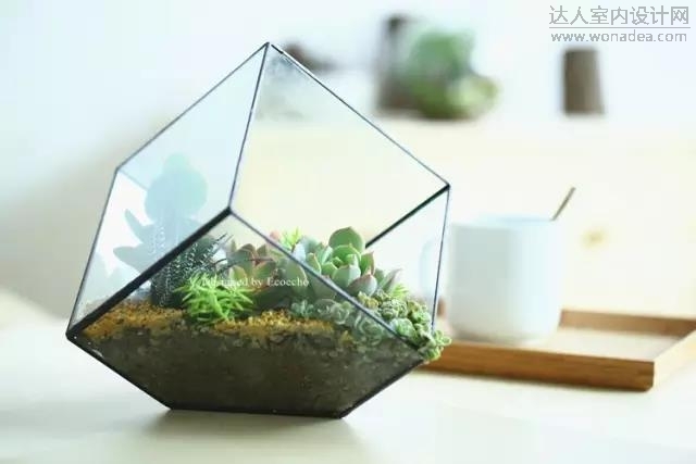 13易格自然图1.jpg