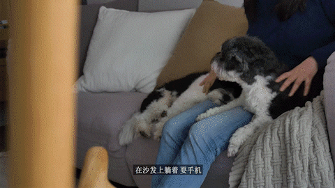 mo.gif