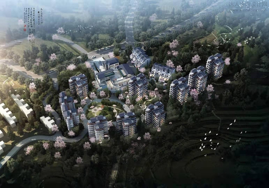 康养 (19).jpg