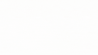 22222222.gif