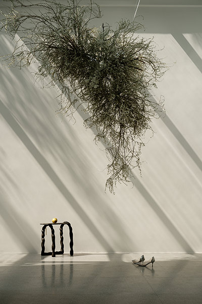 -1F.1封面.png