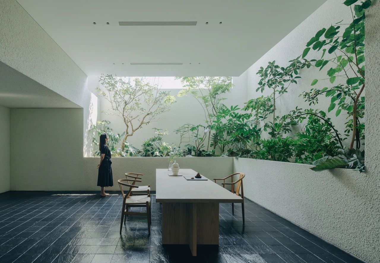 左通右达建筑工作室 | J住宅，重叠的花园