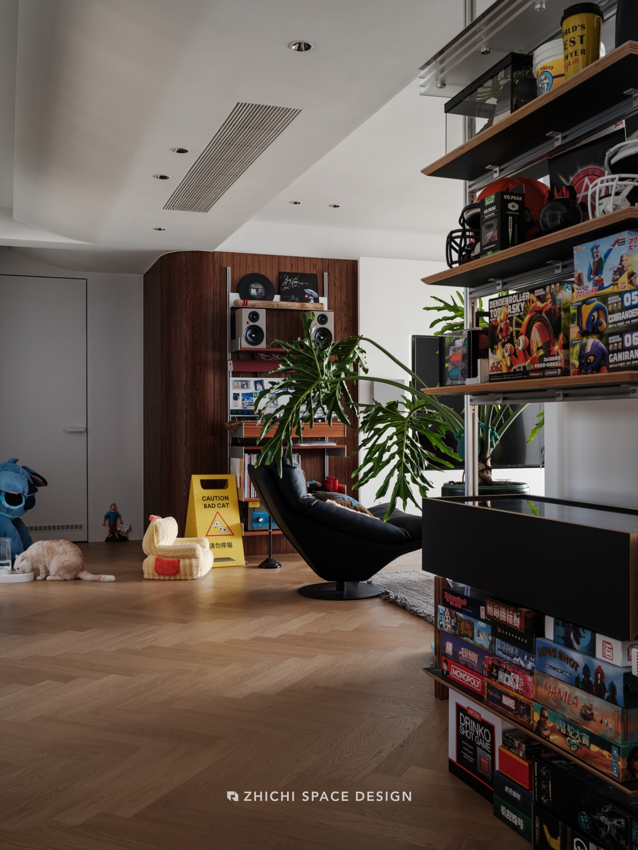 武汉咫尺设计︱隐秘手办基地、猫咪悠哉日常，多彩的生活