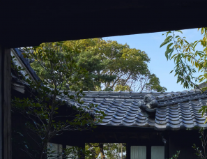 Makoto Yamaguchi丨日本Honjima Refuge