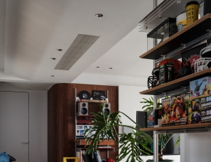 武汉咫尺设计︱隐秘手办基地、猫咪悠哉日常，多彩的生活