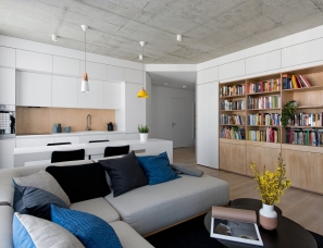 AKTA设计--apartment-in-kraziu-st