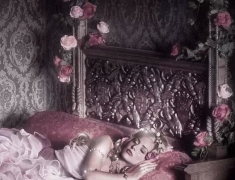 【色彩家】粉紫色卧室，圣母玛利亚的玫瑰
